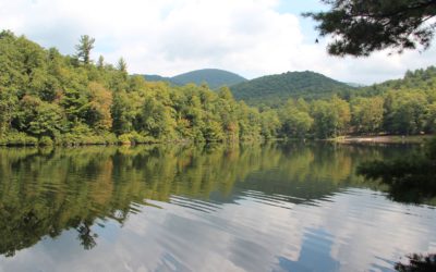 Georgia: Lake Winfield Scott Recreation Project