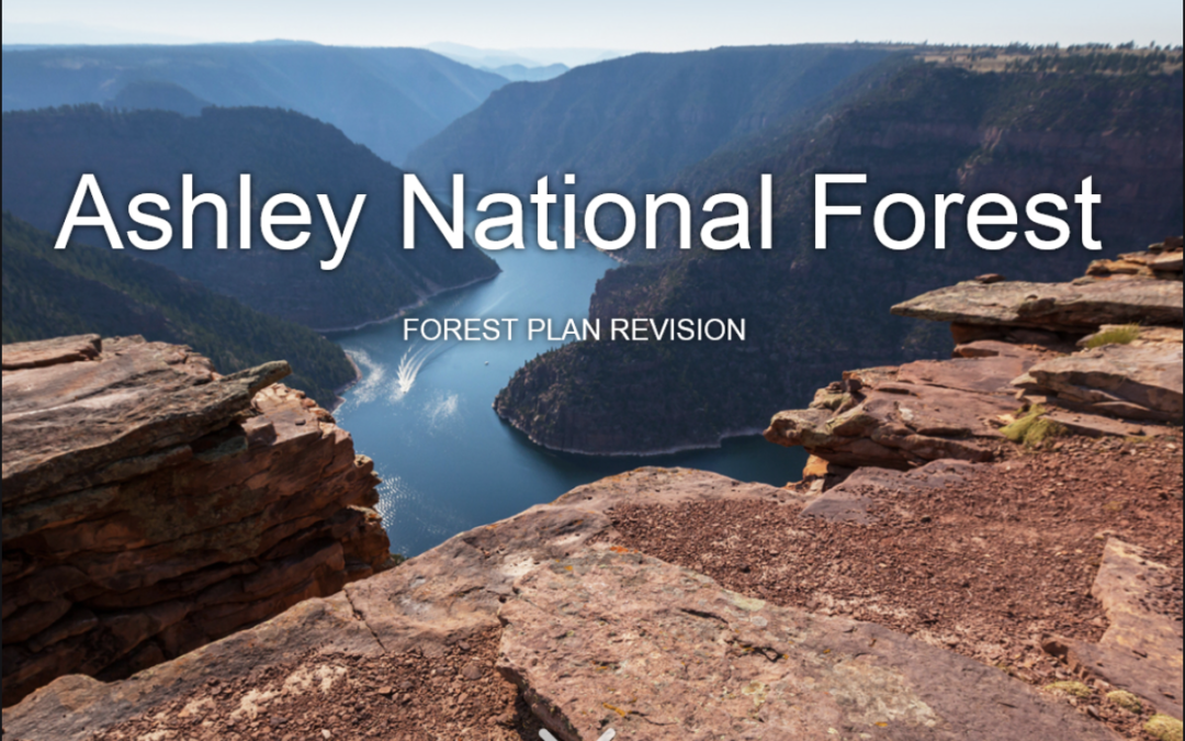 Ashley National Forest Revised Management Plan