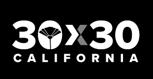 30X30 In California