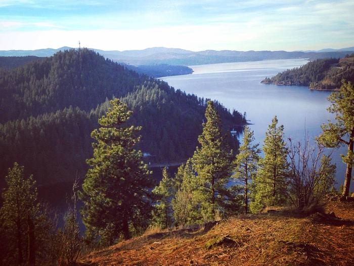 Vegetation Improvement Projects Proposed in BLM Managed Public Lands in Coeur d-Alene, Idaho| High and Dry Forest Health Treatment | Support Active Fire Management