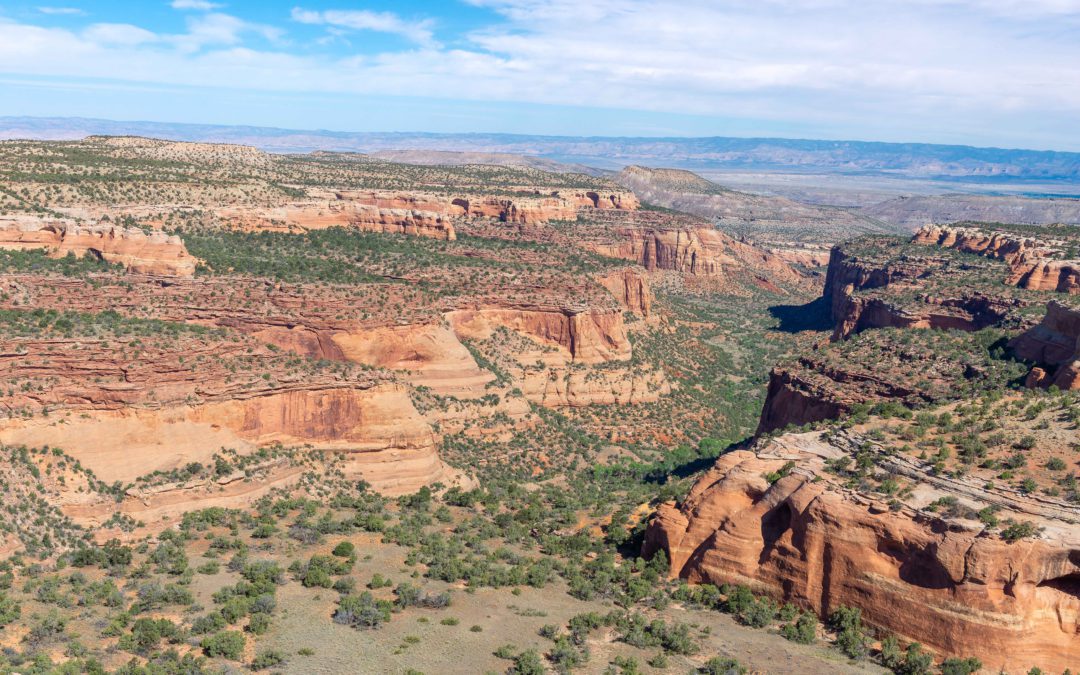Fees and Reservations Proposed in Rabbit Valley, Within the McInnis Canyons National Conservation Area, Colorado