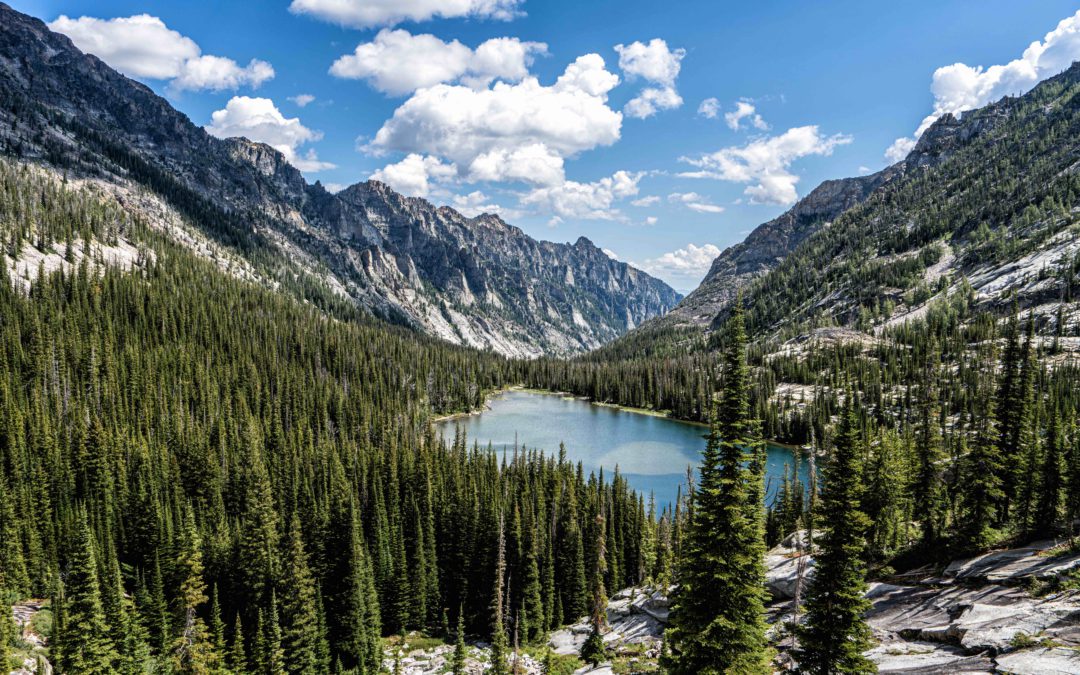 Proposals in Montana: Bitterroot National Forest and Swan Mountain