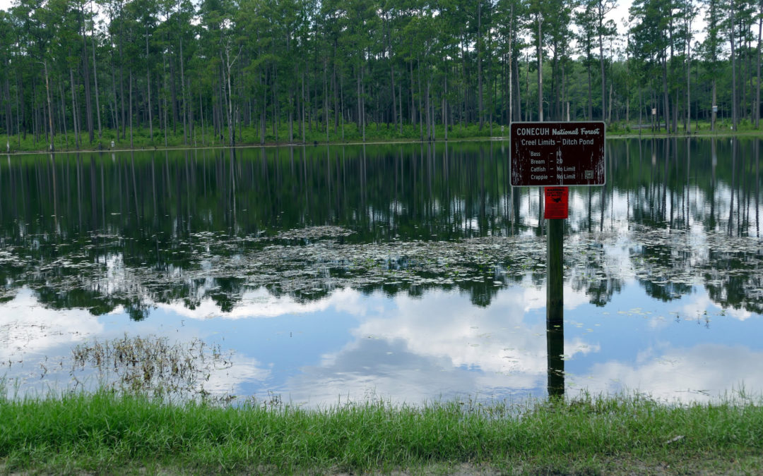 Changes Proposed in Alabama National Forests