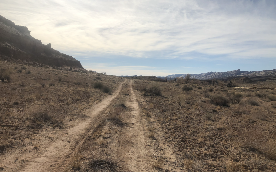 Lost Trails #24 |San Rafael Swell, UT|BLM Routes SS2288 & SS2379