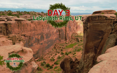 Twelve Days of Legal Updates| Day 3: Labyrinth Rims, UT