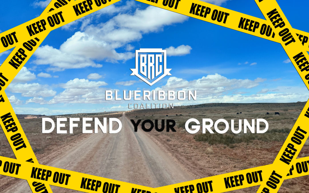 Oppose the BLM Proposed Rule to Sell Public Land to Highest Bidder