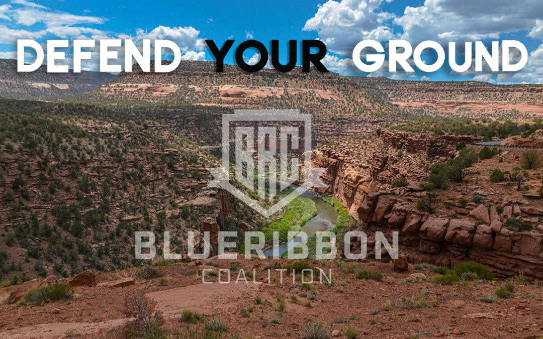Help Us Oppose the Dolores River Canyon National Monument
