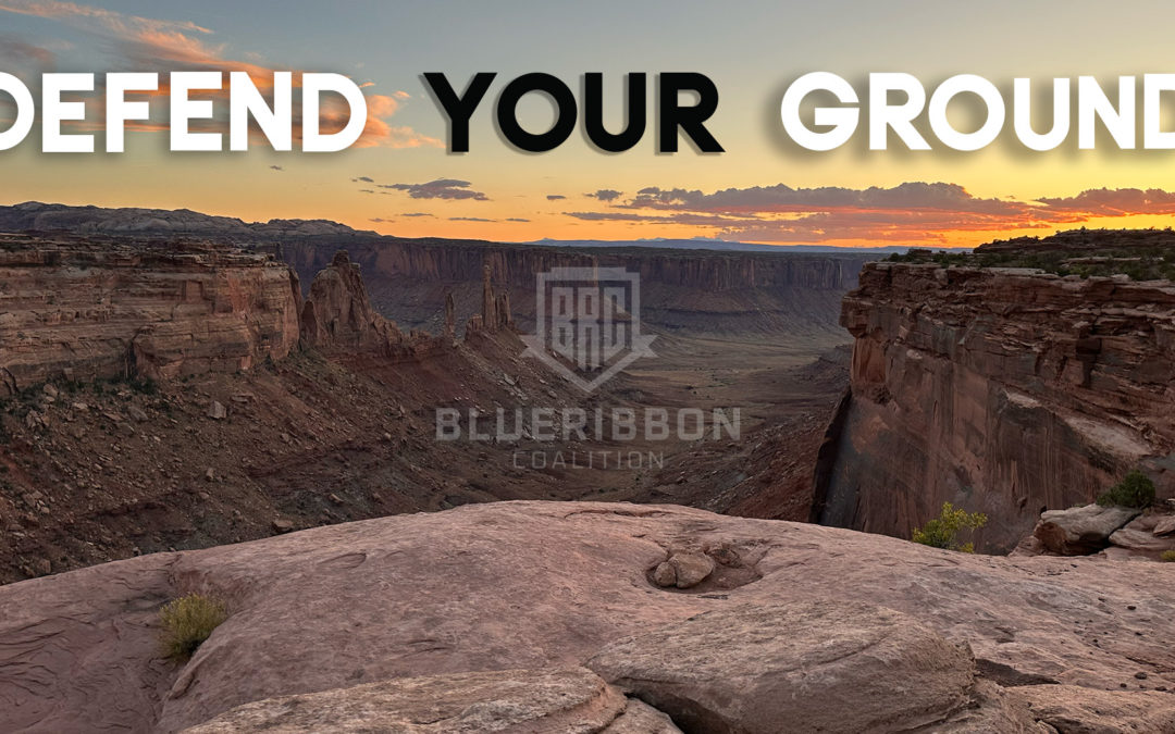 The BRC Action Plan for Moab – Five Actions You Can Take to Fight for Our Trails