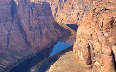 Glen Canyon Long Term Experimental Management Plan: Options for Protecting Glen Canyon Reach from Invasive Species